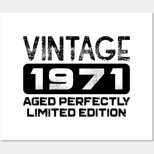 Birthday Gift Vintage 1971 Aged Perfectly Wall Art by colorsplash